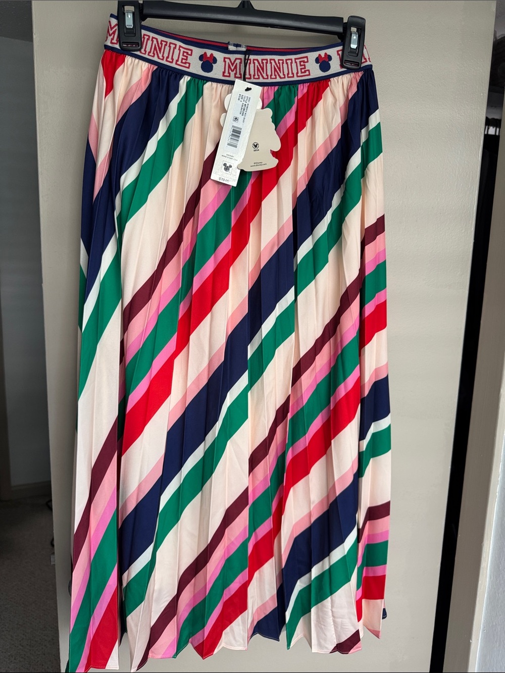 Macy's Multicolor Diagonal Stripe Pleated Maxi Skirt